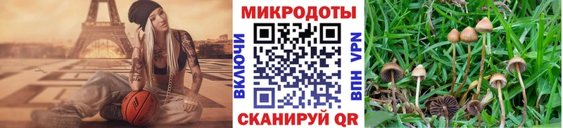купить наркоту  Нязепетровск  Галлюциногенные грибы мухоморы 